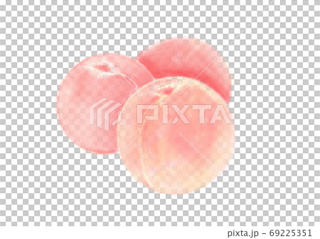 桃_D手描き_文字無し 桃_D手描き_文字無し 69225351