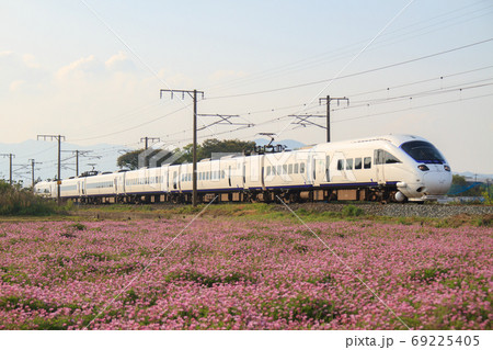 れんげ畑と885系特急電車(JR九州) れんげ畑と885系特急電車(JR九州) 69225405