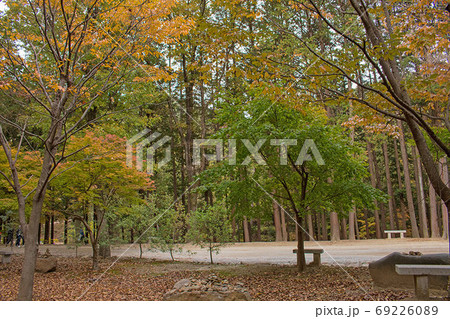 樹林 公園 森 69226089