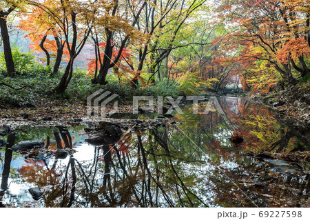 紅葉 秋 風景 69227598
