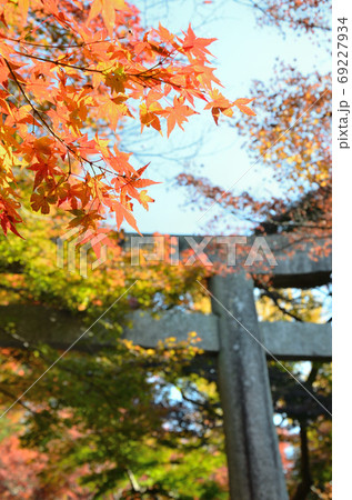紅葉に包まれた神社 紅葉に包まれた神社 69227934