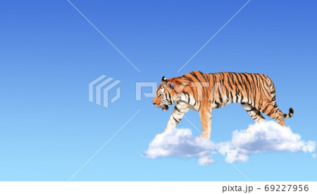 Horizontal banner with elephant above clouds 69227956