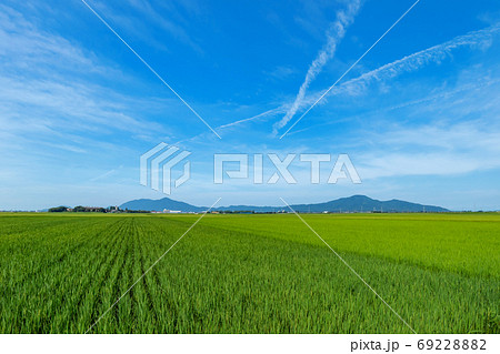 【新潟県新潟市】越後平野の水田と弥彦山、角田山 69228882