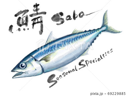 鯖_D手描き_文字有り 鯖_D手描き_文字有り 69229885