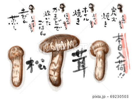松茸_D手描き_文字有り 69230503