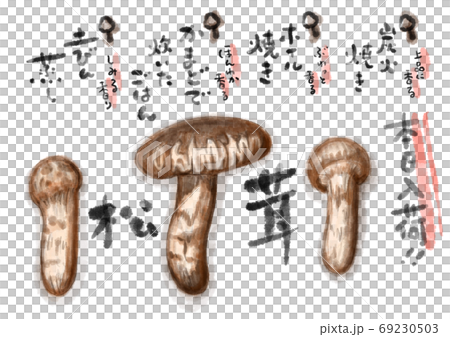 松茸_D手描き_文字有り 69230503
