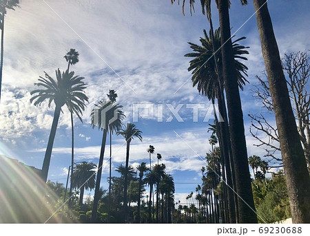 【アメリカ・CA】　ビバリーヒルズの風景 69230688