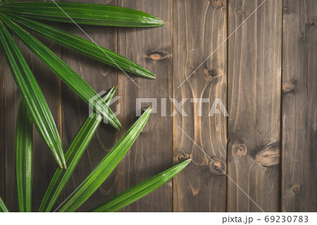 Green Ieaf background around old wood with space, Vintage toned. Green Ieaf background around old wood with space, Vintage toned. 69230783