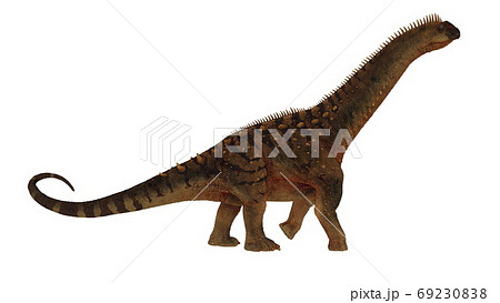 Alamosaurus dinosaur walking peacefully - 3D render 69230838