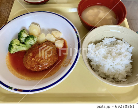 ハンバーグご飯 69230861