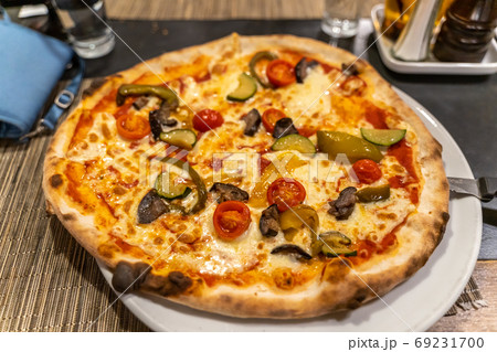 Vegetable with cheese pizza 69231700