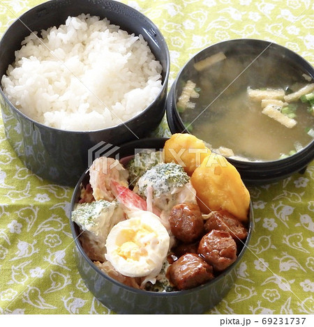 マヨネーズ和えのサラダとミートボールとナゲットの手作り弁当 マヨネーズ和えのサラダとミートボールとナゲットの手作り弁当 69231737