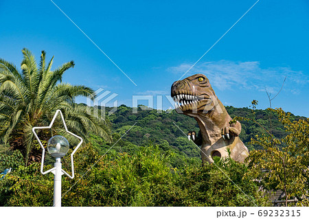 ジャングルのような山口県下松市笠戸島のティラノサウルス 69232315