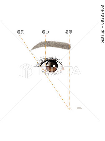 眉の描き方 女性のイラスト素材
