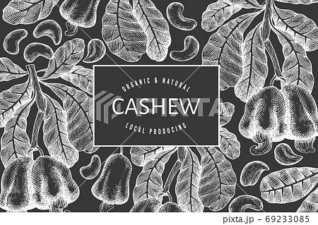 Hand drawn sketch cashew design template. Organic food vector illustration on chalk board. Vintage nut illustration. Engraved style botanical background. Hand drawn sketch cashew design template. Organic food vector illustration on chalk board. Vintage nut illustration. Engraved style botanical background. 69233085