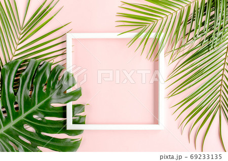 Texture tropical palm leaf Monstera and white frame for text on pink background. Flat lay, top view 69233135