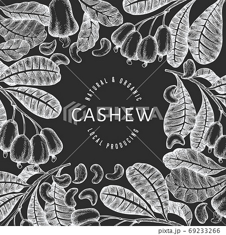 Hand drawn sketch cashew design template. Organic food vector illustration on chalk board. Vintage nut illustration. Engraved style botanical background. Hand drawn sketch cashew design template. Organic food vector illustration on chalk board. Vintage nut illustration. Engraved style botanical background. 69233266