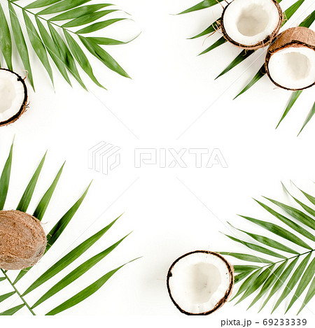 Tropical green palm leaf and cracked coconut on white background. Nature concept. flat lay, top view Tropical green palm leaf and cracked coconut on white background. Nature concept. flat lay, top view 69233339