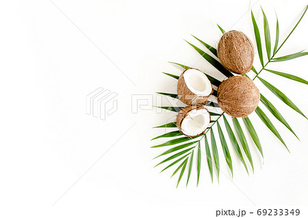 Tropical green palm leaf and cracked coconut on white background. Nature concept. flat lay, top view Tropical green palm leaf and cracked coconut on white background. Nature concept. flat lay, top view 69233349
