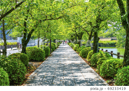 【神奈川県】緑に覆われた小田原城のお堀端通り 69233419