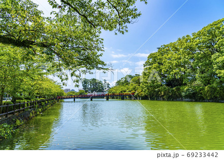 【神奈川県】綺麗な青空と緑が広がる小田原城のお堀と学橋 【神奈川県】綺麗な青空と緑が広がる小田原城のお堀と学橋 69233442