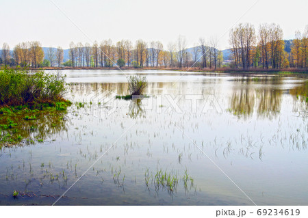 池 景色 風景 69234619
