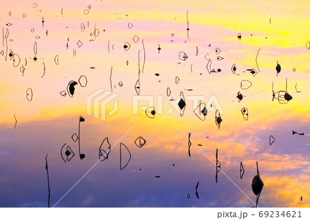 自然 水 野生 69234621