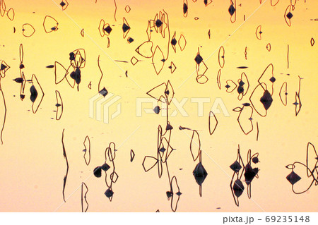 シルエット 反射 反影 69235148