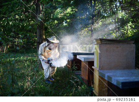Portrait of man beekeeper working in apiary, using bee smoker. Portrait of man beekeeper working in apiary, using bee smoker. 69235161