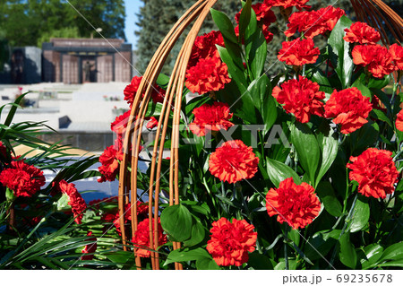flowers on the memorial to fallen soldiers, red carnations on black marble flowers on the memorial to fallen soldiers, red carnations on black marble 69235678