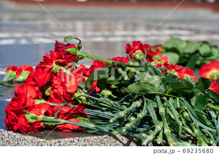flowers on the memorial to fallen soldiers, red carnations on black marble, Russian text - monument to the unknown soldier 69235680