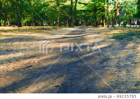 nature, a trail in the city Park early in the morning, bright su nature, a trail in the city Park early in the morning, bright su 69235785