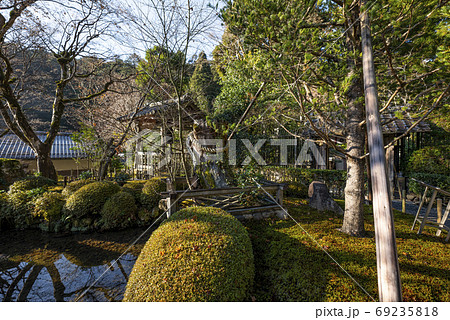 冬の京都大原 寂光院 姫小松のご神木 冬の京都大原 寂光院 姫小松のご神木 69235818