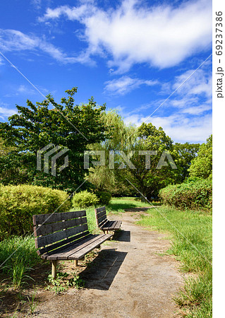 真夏の公園のベンチ 69237386