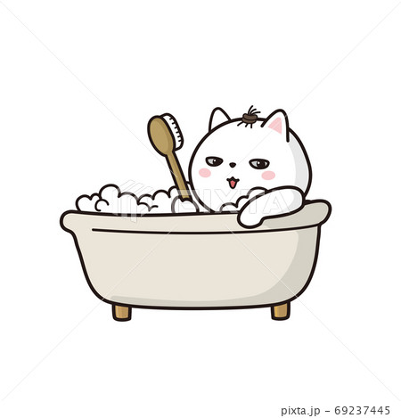 お風呂で体を洗う猫 お風呂で体を洗う猫 69237445