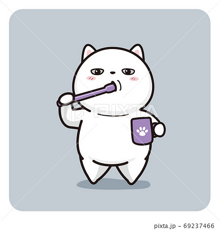 猫の歯を磨く方法