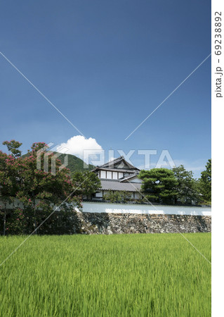 夏の日　百日紅咲く 69238892