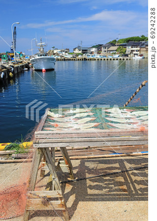 佐渡ヶ島の漁港、姫津港とイカの天日干し 69242288