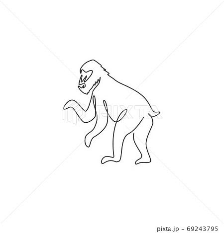 One continuous line drawing of cute mandrill for company logo identity 69243795