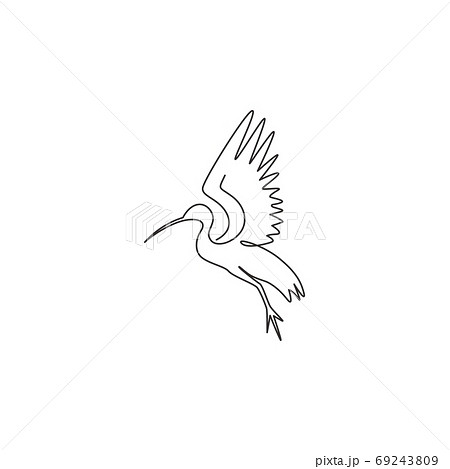 One single line drawing of adorable ibis for foundation logo identity One single line drawing of adorable ibis for foundation logo identity 69243809