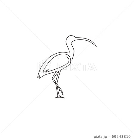 Single continuous line drawing of elegant ibis bird for organisation logo identity 69243810