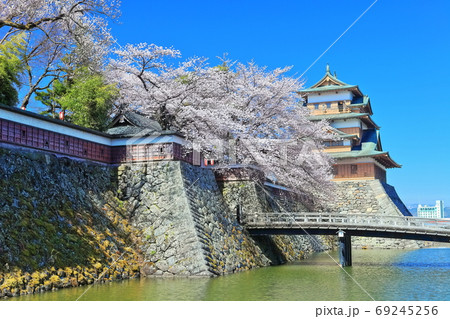 【長野県】晴天下の高島城と満開の桜 69245256