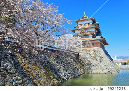【長野県】晴天下の高島城と満開の桜 【長野県】晴天下の高島城と満開の桜 69245258