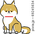 お座りをする柴犬 69245634