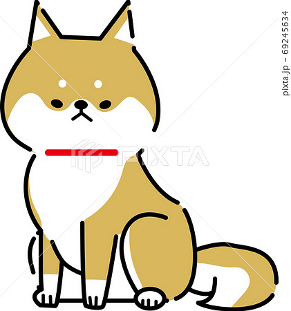 お座りをする柴犬 お座りをする柴犬 69245634