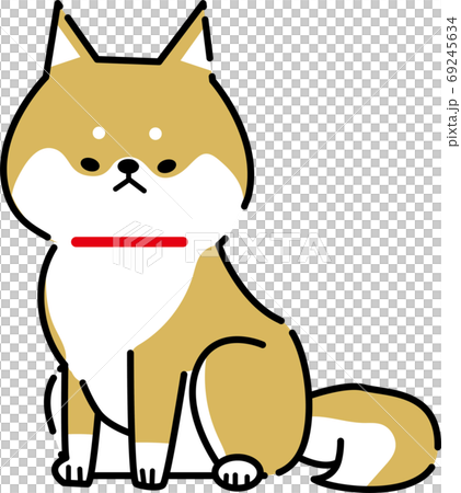 お座りをする柴犬 お座りをする柴犬 69245634