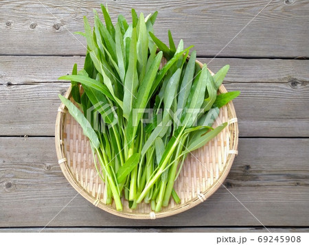 空芯菜 空芯菜 69245908
