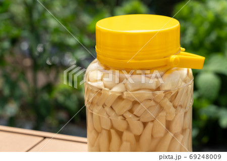 らっきょうの塩漬け 漬け物 (6月) 屋外の緑 らっきょうの塩漬け 漬け物 (6月) 屋外の緑 69248009
