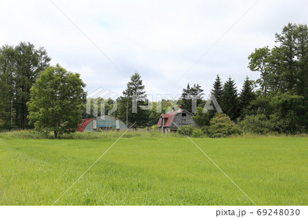 北海道 釧路地方 古い牛舎のある風景 北海道 釧路地方 古い牛舎のある風景 69248030