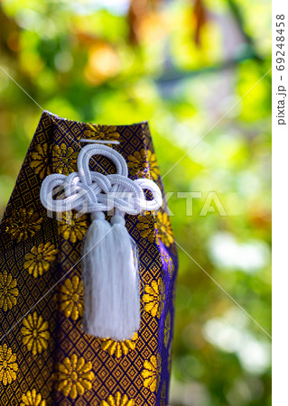 愛犬の遺骨　葬儀　骨壺　お骨 69248458